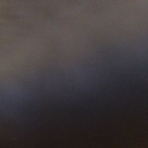 Meet your Posher, Bryce